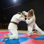 Competitive mixed judo