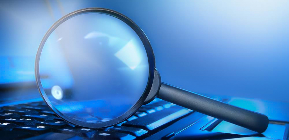 search-functionality
